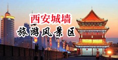 黄色三级片肌肌中国陕西-西安城墙旅游风景区